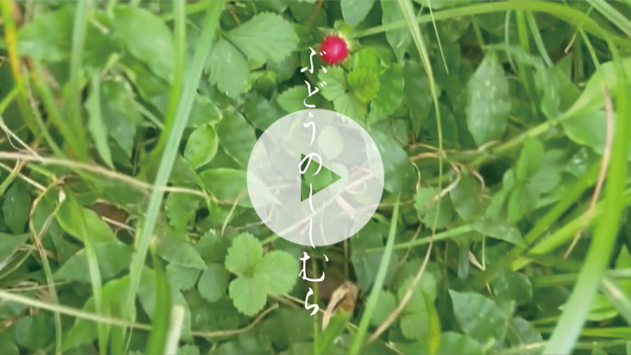 「ぶどうのししむら」齋藤 杏